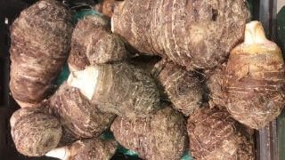 colocasia root | vegetable name