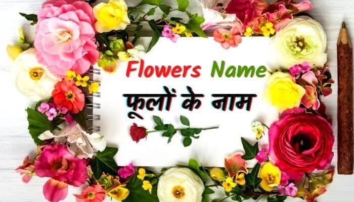 flowers name in hindi english