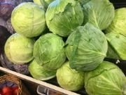 cabbage | all vegetable's name