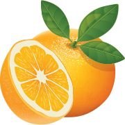orange fruit | fruit name
