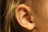 human body par ear 