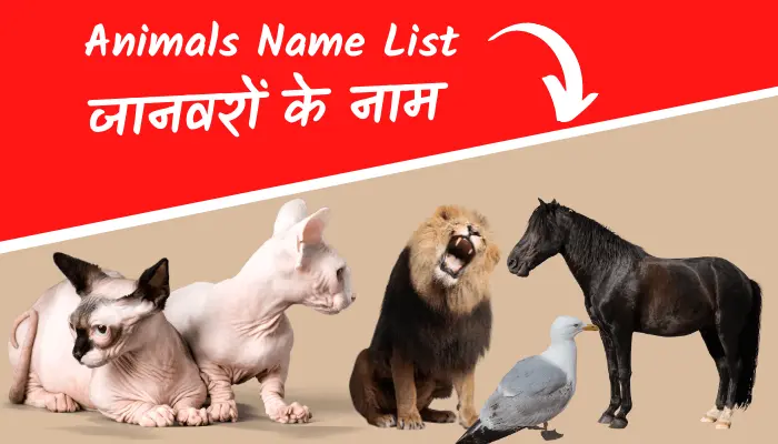 animals name in hindi english