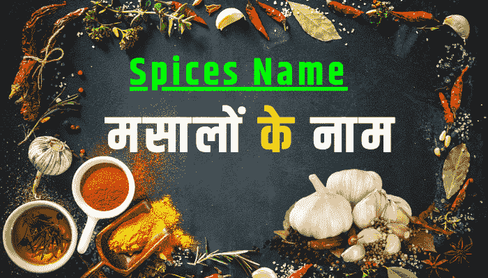 spices name in hindi english