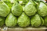 Cabbage