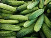 Cucumber