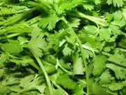 coriander