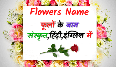3,000+ Daily Use English Words With Hindi Meaning