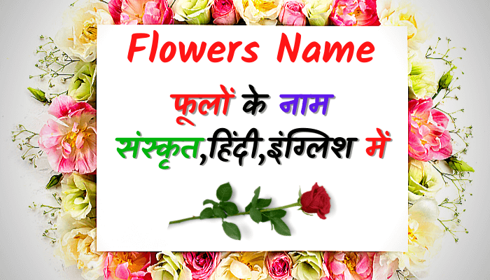 flowers name in sanskrit hindi english