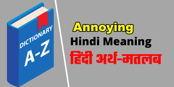 Sorry For Annoying You Meaning In Hindi