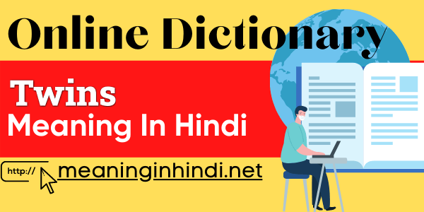 twins meaning in hindi
