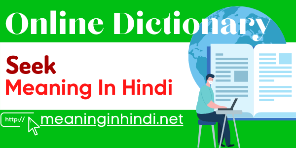 seek meaning in hindi
