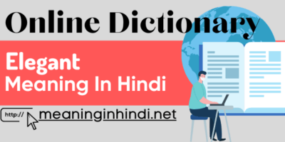 Elegant meaning in Hindi - एलिगेंट का हिंदी अर्थ